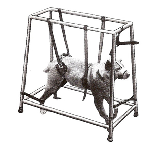 懸垂式犬用保定器(皮帶式) 1